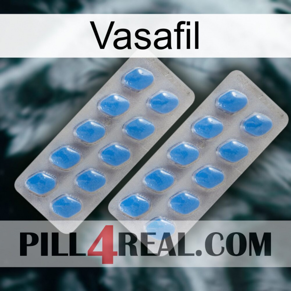 Vasafil 23.jpg